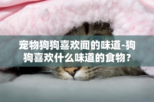 寵物狗狗喜歡聞的味道-狗狗喜歡什么味道的食物？