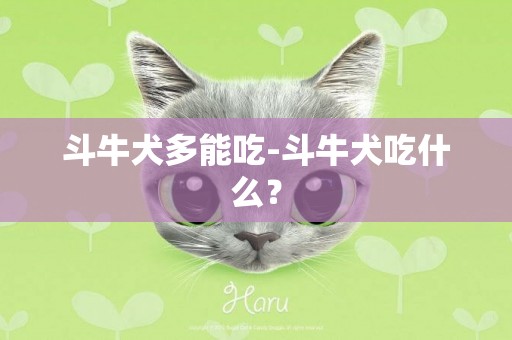 斗牛犬多能吃-斗牛犬吃什么？
