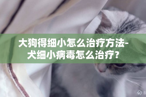 大狗得細小怎么治療方法-犬細小病毒怎么治療？