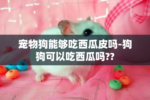 寵物狗能夠吃西瓜皮嗎-狗狗可以吃西瓜嗎??