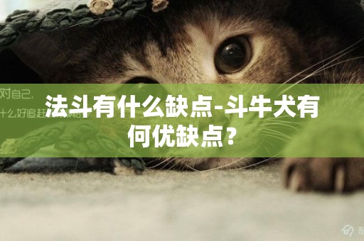 法斗有什么缺點-斗牛犬有何優缺點？