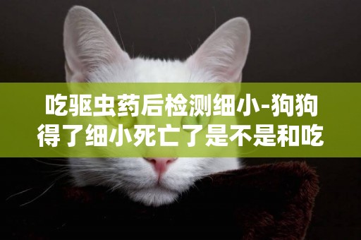 吃驅蟲藥后檢測細小-狗狗得了細小死亡了是不是和吃驅蟲藥有關