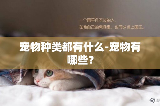 寵物種類都有什么-寵物有哪些？