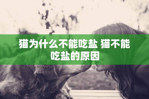貓為什么不能吃鹽 貓不能吃鹽的原因