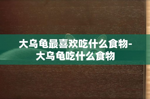 大烏龜最喜歡吃什么食物-大烏龜吃什么食物