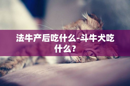 法牛產后吃什么-斗牛犬吃什么？