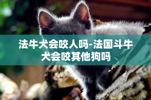 法牛犬會咬人嗎-法國斗牛犬會咬其他狗嗎