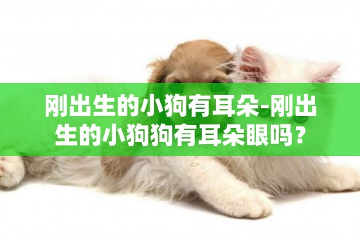 剛出生的小狗有耳朵-剛出生的小狗狗有耳朵眼嗎？