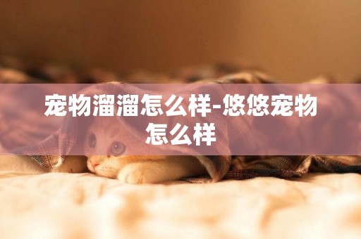 寵物溜溜怎么樣-悠悠寵物怎么樣