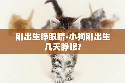 剛出生睜眼睛-小狗剛出生幾天睜眼?