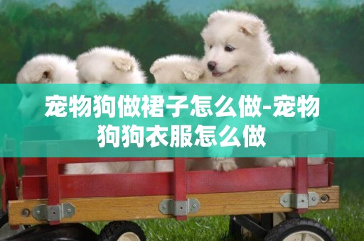 寵物狗做裙子怎么做-寵物狗狗衣服怎么做