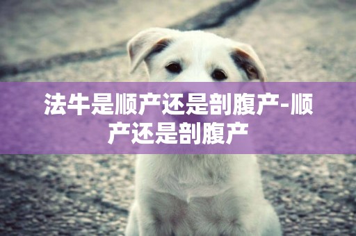 法牛是順產還是剖腹產-順產還是剖腹產