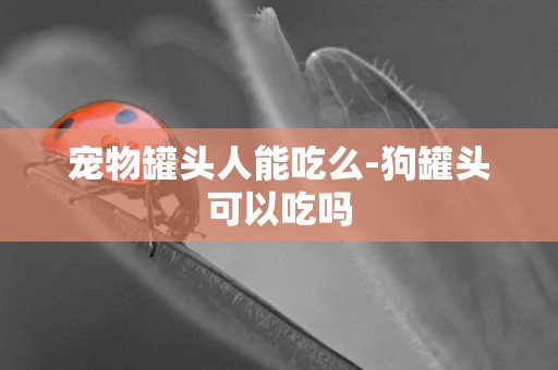 寵物罐頭人能吃么-狗罐頭可以吃嗎