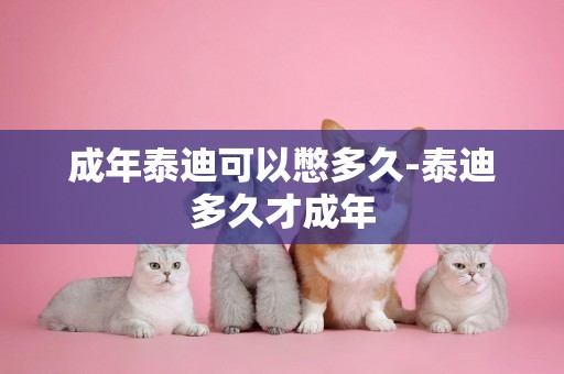 成年泰迪可以憋多久-泰迪多久才成年