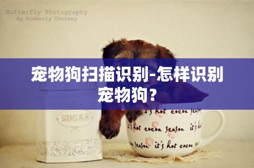 寵物狗掃描識別-怎樣識別寵物狗？