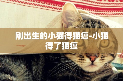 剛出生的小貓得貓瘟-小貓得了貓瘟