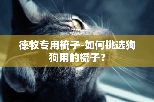 德牧專用梳子-如何挑選狗狗用的梳子？