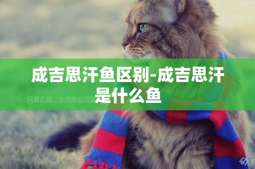 成吉思汗魚區別-成吉思汗是什么魚