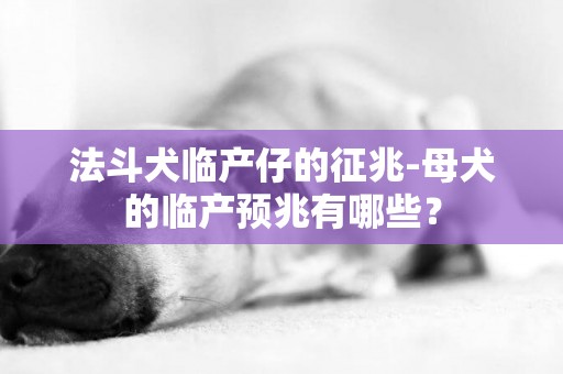 法斗犬臨產仔的征兆-母犬的臨產預兆有哪些？