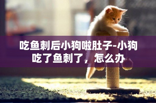 吃魚刺后小狗啦肚子-小狗吃了魚刺了，怎么辦