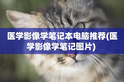 醫學影像學筆記本電腦推薦(醫學影像學筆記圖片) 