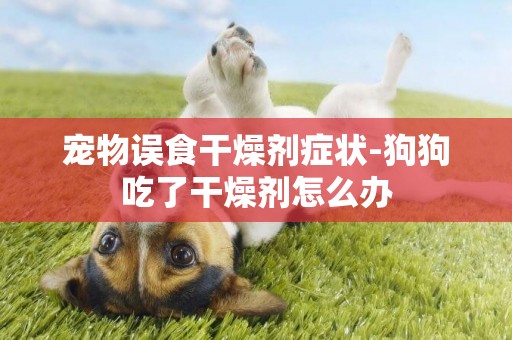 寵物誤食干燥劑癥狀-狗狗吃了干燥劑怎么辦
