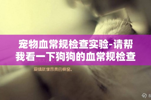 寵物血常規檢查實驗-請幫我看一下狗狗的血常規檢查