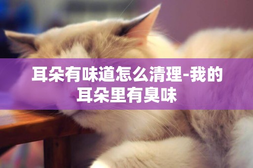 耳朵有味道怎么清理-我的耳朵里有臭味