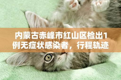 內蒙古赤峰市紅山區檢出1例無癥狀感染者，行程軌跡公布 