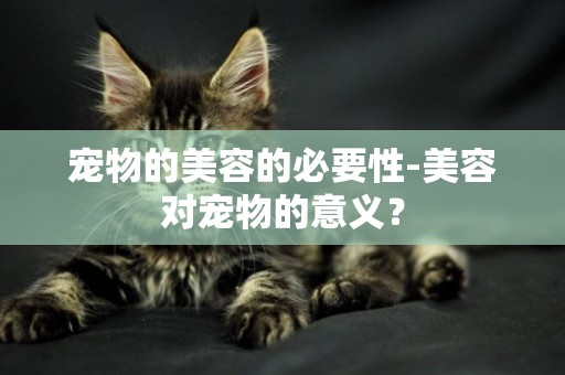 寵物的美容的必要性-美容對寵物的意義？