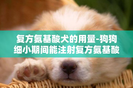 復方氨基酸犬的用量-狗狗細小期間能注射復方氨基酸嗎