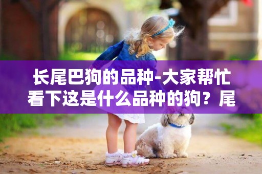 長尾巴狗的品種-大家幫忙看下這是什么品種的狗？尾巴長長的也不卷