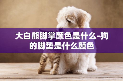 大白熊腳掌顏色是什么-狗的腳墊是什么顏色