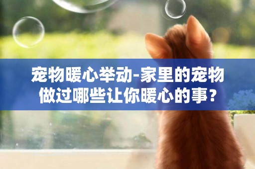 寵物暖心舉動-家里的寵物做過哪些讓你暖心的事？