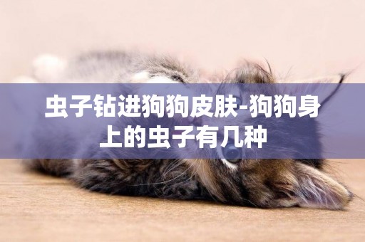 蟲子鉆進狗狗皮膚-狗狗身上的蟲子有幾種