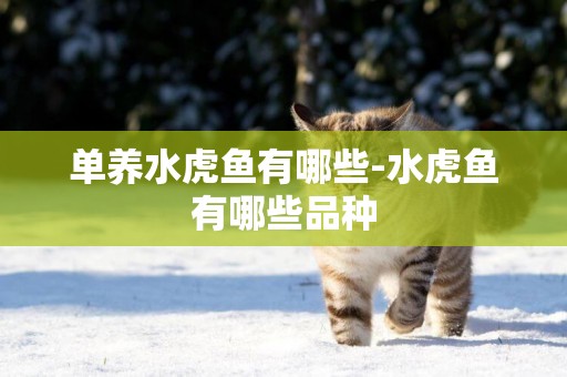 單養水虎魚有哪些-水虎魚有哪些品種