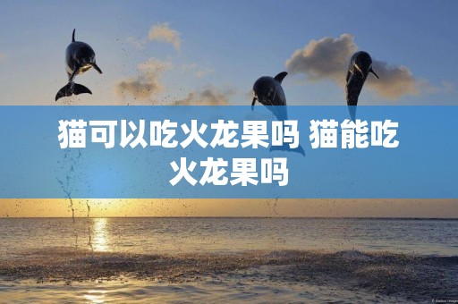 貓可以吃火龍果嗎 貓能吃火龍果嗎