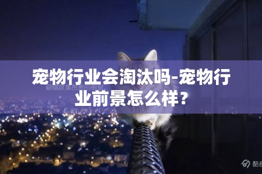 寵物行業會淘汰嗎-寵物行業前景怎么樣？