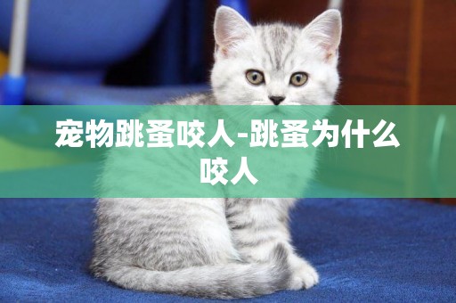 寵物跳蚤咬人-跳蚤為什么咬人