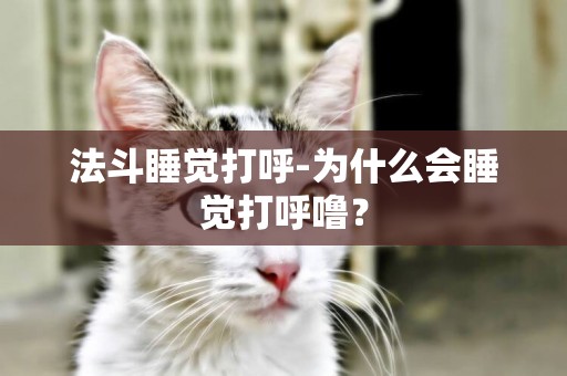法斗睡覺打呼-為什么會睡覺打呼嚕？