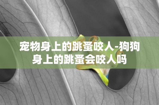 寵物身上的跳蚤咬人-狗狗身上的跳蚤會咬人嗎