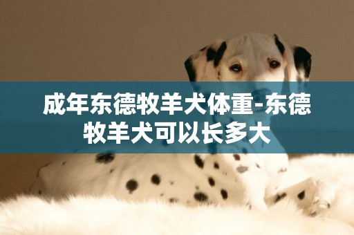 成年東德牧羊犬體重-東德牧羊犬可以長多大