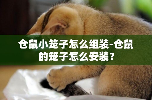 倉鼠小籠子怎么組裝-倉鼠的籠子怎么安裝？