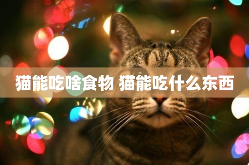 貓能吃啥食物 貓能吃什么東西