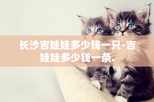 長沙吉娃娃多少錢一只-吉娃娃多少錢一條.