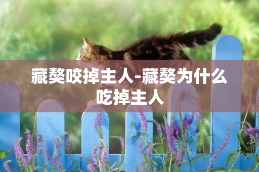 藏獒咬掉主人-藏獒為什么吃掉主人