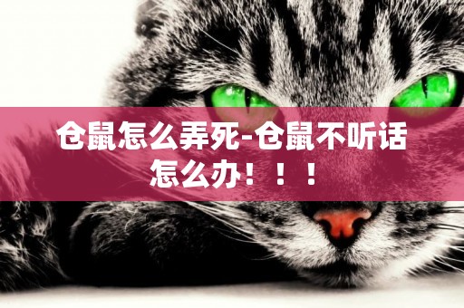 倉鼠怎么弄死-倉鼠不聽話怎么辦！！！