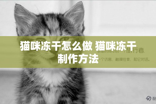 貓咪凍干怎么做 貓咪凍干制作方法