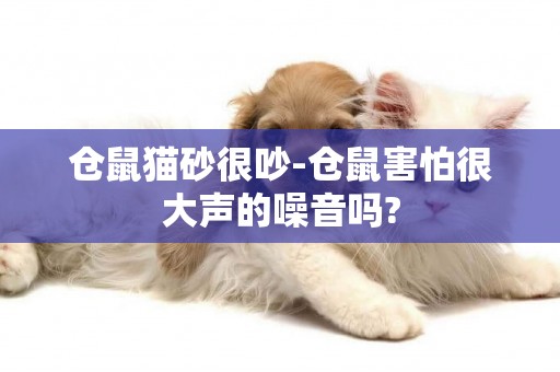 倉鼠貓砂很吵-倉鼠害怕很大聲的噪音嗎?