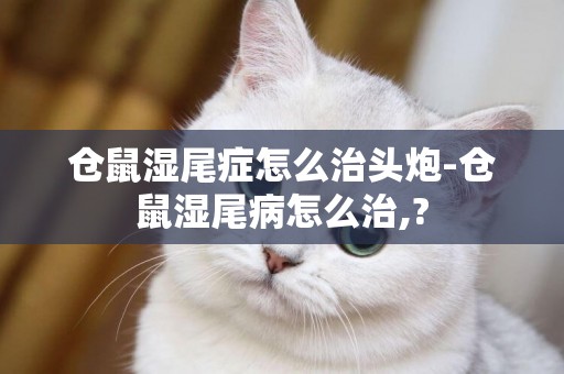 倉鼠濕尾癥怎么治頭炮-倉鼠濕尾病怎么治,?